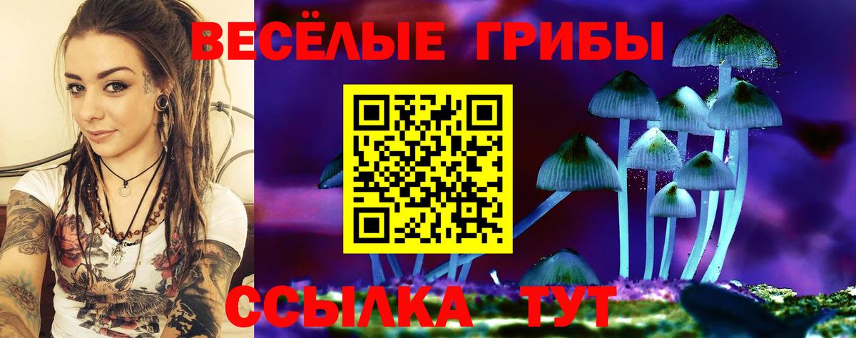 Псилоцибиновые грибы мицелий  Вход с VPN  Рязань 